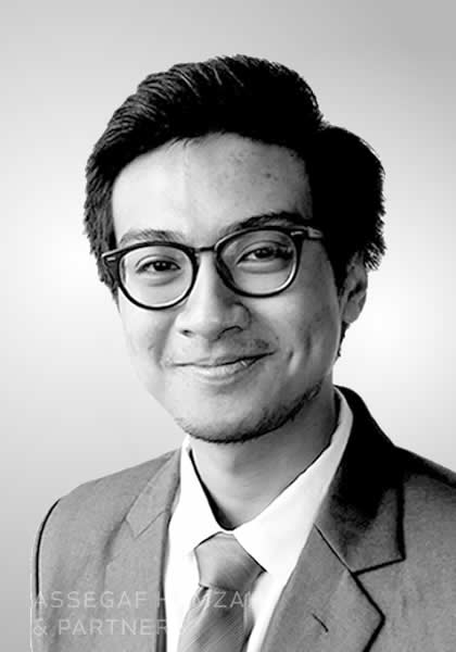 Haryo Ahmad Viditaris Sasongko